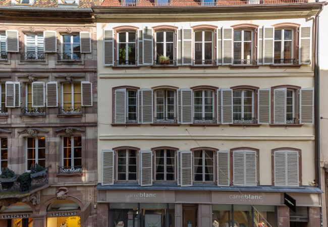Appartement à Strasbourg - 20 Rue du Dôme